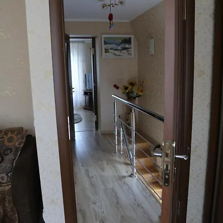 затишок Synjak